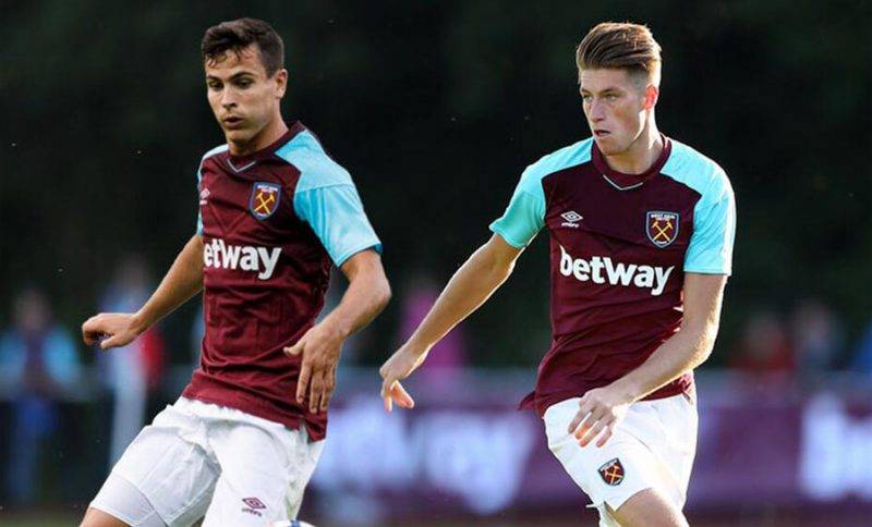 面的理性调 面的理性调